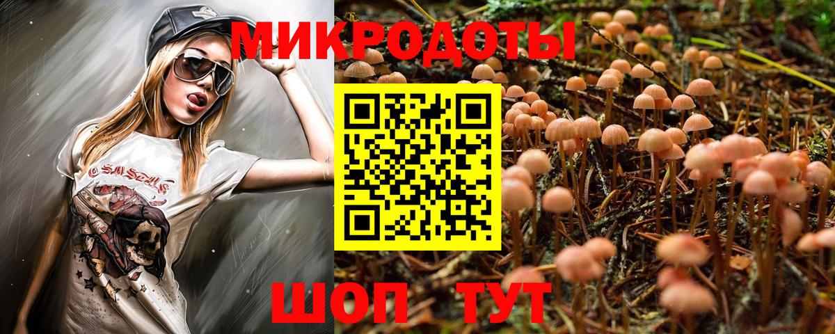 Галлюциногенные грибы Psilocybe  Усинск 