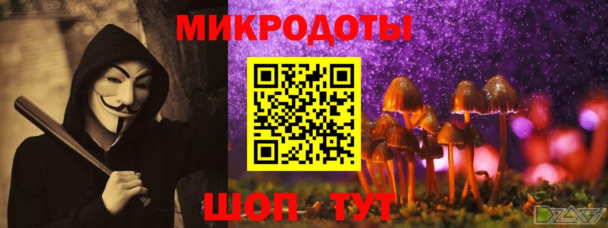 Галлюциногенные грибы Psilocybine cubensis Усинск
